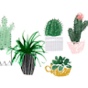 Meet your Posher, Layla beth